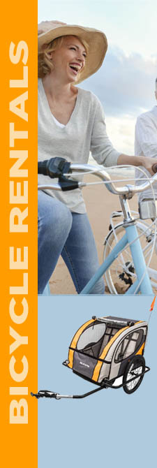 Bike rentals